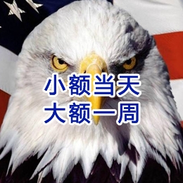 维西要账公司